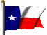 texasC.gif (6994 bytes)
